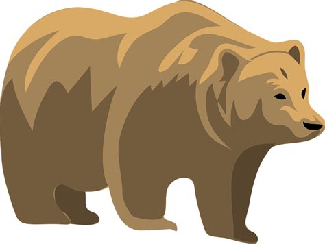 Brown Bear Animal · Free Vector Graphic On Pixabay