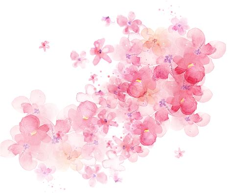 Watercolor Floral · Free Image On Pixabay