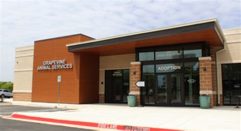 New Grapevine Animal Shelter Triples Footprint Increases Services