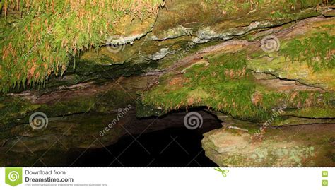 Cave Spring Natchez Trace Parkway Stock Photo Image Of Scenic Risk