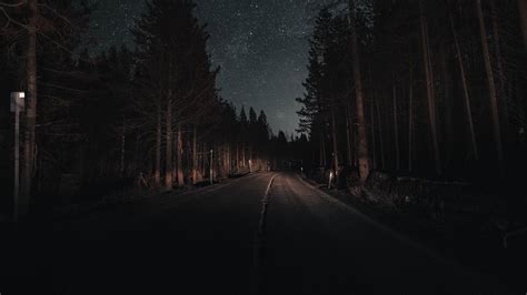 Night Forest Wallpapers On Wallpaperdog