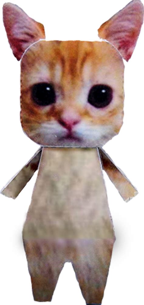 El Gato Cat Meme Printable Images And Photos Finder