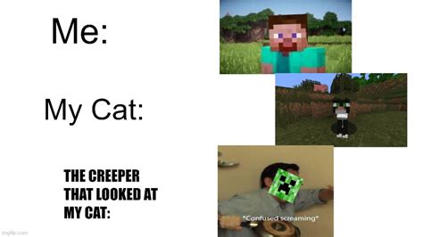 I Still Wonder Why Creepers Still Hate Cats Imgflip