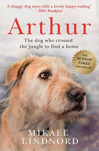 Arthur The Dog Who Crossed The Jungle To Find A Home Soon To Be A
