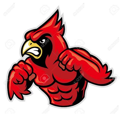Fighting Cardinal Clipart 10 Free Cliparts Download Images On