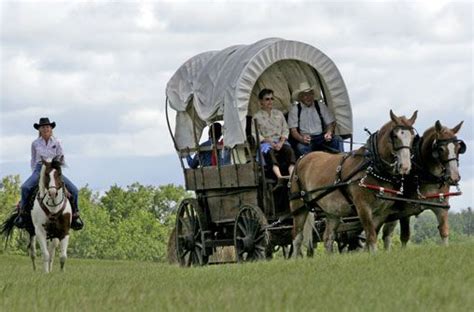 Horse Drawn Covered Wagon Rides Covered Wagon Pioneer Trek Wagon