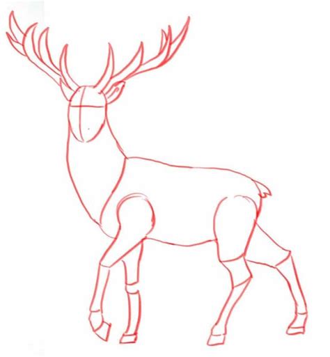 How To Draw A Deer With Pencils