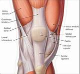 Images of Knee Plica Treatment