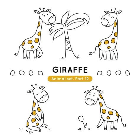 Premium Vector Set Of Doodle Giraffes In Various Poses Isolated