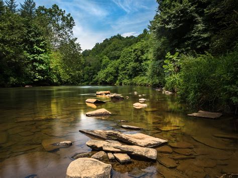 New River State Park Webcast Wednesday June 29 Celebrates Life On The