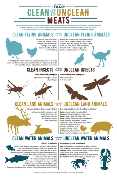 20 Knowledgeful Animal Infographics