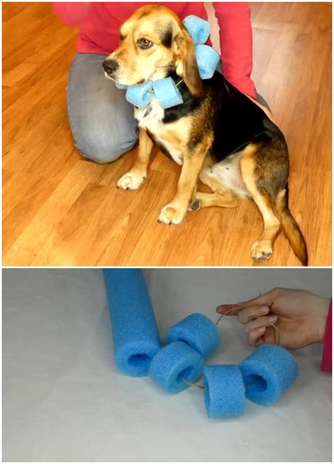 Nylon and foam dog collar. 7 DIY Dog Cone Ideas That Are Easy to Make | Dog E-Collars
