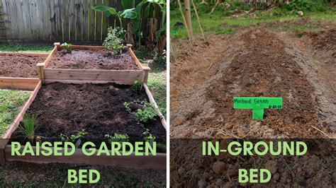 What Are The Pros And Cons In Having A Raised Garden Bed Compared To I