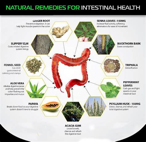 11 Effective Foods Used As Natural Cleansing Remedies For An Intestinal