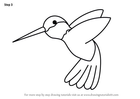 Hummingbird Drawing Easy At Explore Collection Of