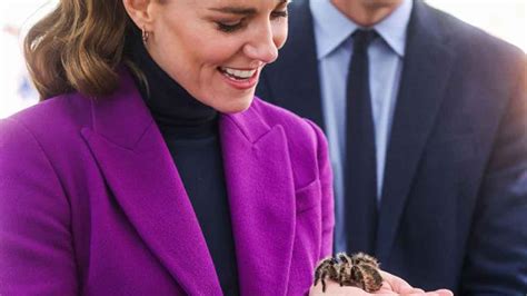 Kate Middleton Shows She Has Nerves Of Steel Oversixty