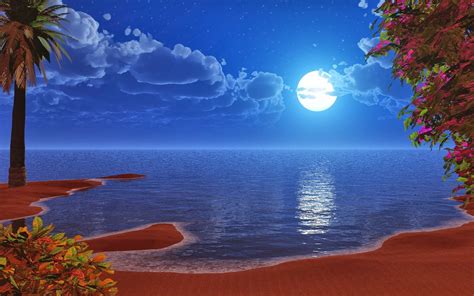Hd Night Beach Wallpapers Wallpapers Free