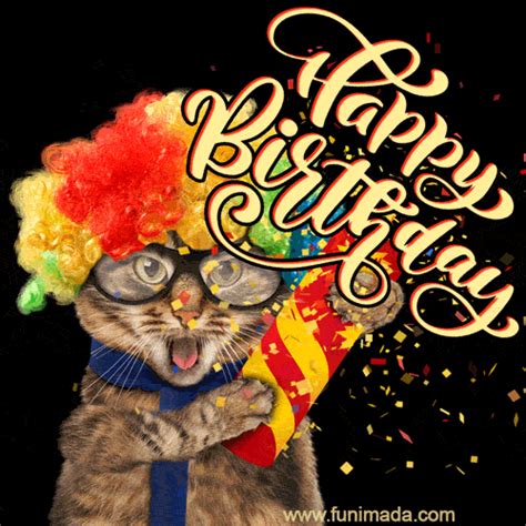 Happy Birthday From The Cat  Cat Meme Stock Pictures And Photos