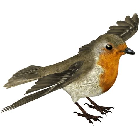 17 Robin Clipart Images Alade