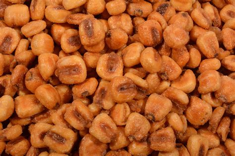 Toasted Corn Kernels Large Roasted Salted 1 Lb Toasted Corn Kernels Nuts By The Pound