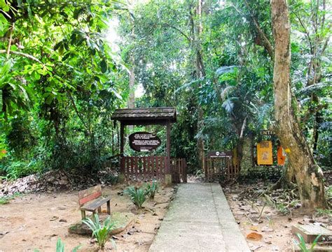 Mutiara Taman Negara 2d1n Explorer Package2023 24 Mango Vacations