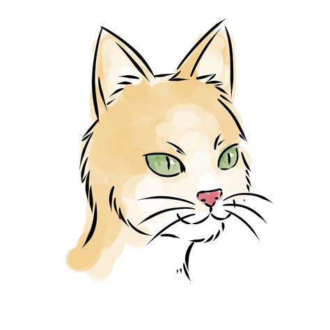 ☀ How To Draw A Cat Face For Halloween Alvas Blog