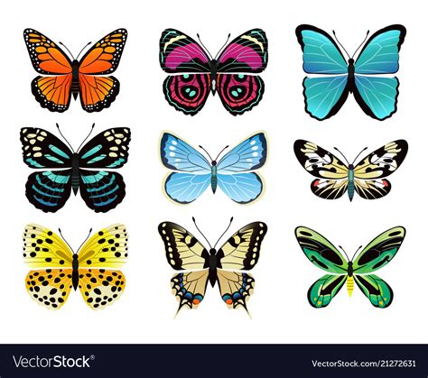 Butterflies Types Collection Royalty Free Vector Image