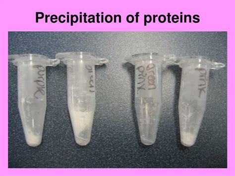ppt physical chemical properties of proteins methods of its determination precipitation