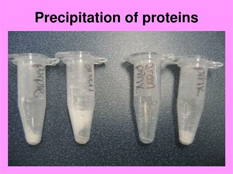 Ppt Physical Chemical Properties Of Proteins Methods Of Its