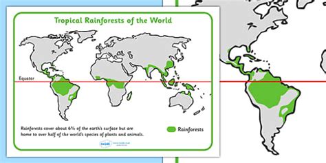 Tropical Rainforests World Map Tropical Rainforest