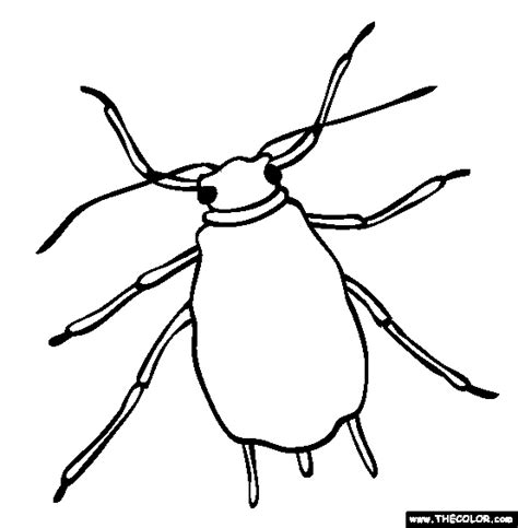 Tick Coloring Pages
