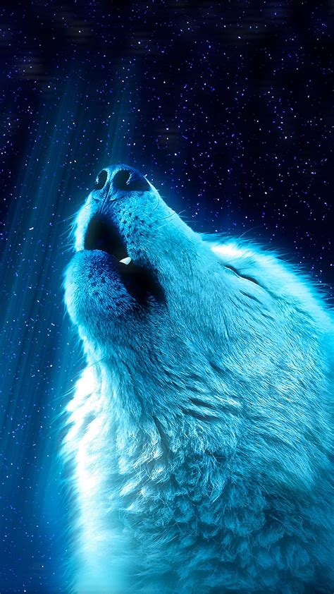 1920x1080px 1080p Free Download White Wolf Howl Blue Predator