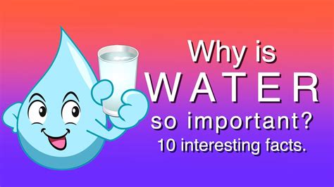Why Is Water So Important Interesting Facts Youtube