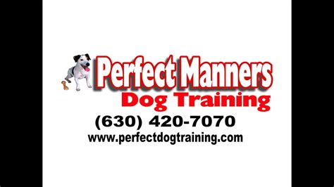 Perfect Manners Dog Training Youtube