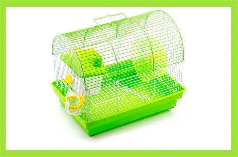 25 Ways To Make Your Hamster Happy Hamsters 101
