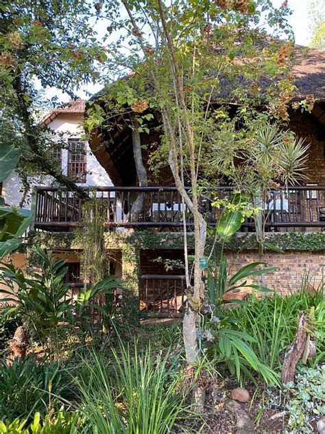 Blue Jay Lodge Updated 2022 Bandb Reviews And Price Comparison Hazyview South Africa Tripadvisor