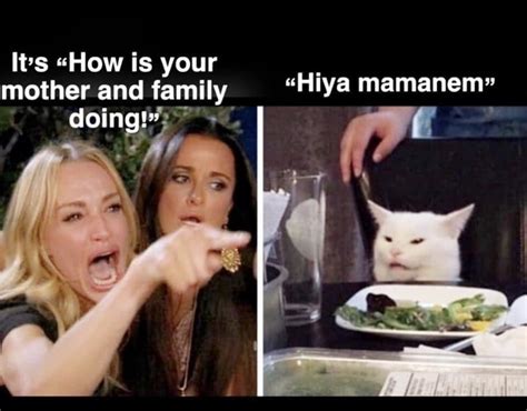 Woman Yelling At A Cat Memes That Have Kept Me Laughing So Hard