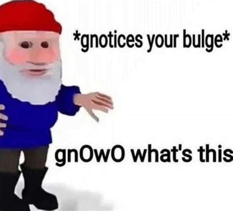 Angry Gnome Meme Funny Memes