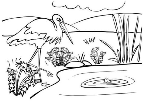 Maybe you would like to learn more about one of these? Planse De Colorat Cu Animale Si Plante - Gratuit pentru a ...