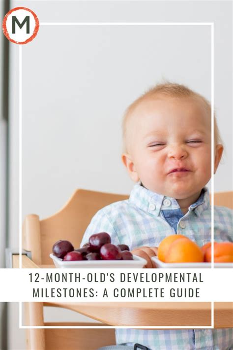 12 Month Olds Developmental Milestones A Complete Guide