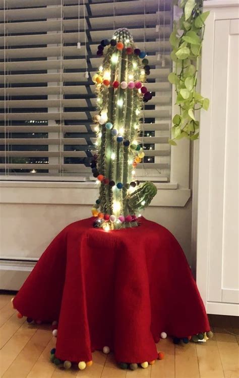 I Decorated My Cactus For Christmas And It Turned Out So Cute