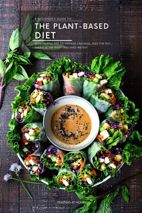 The Plant Based Diet A Begginers Guide Recipes And Tips