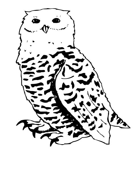 We have 28 owl coloring pages to choose from. Bird Coloring Pages