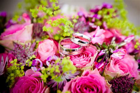 Цветок зла / the flower of evil. Paling Bagus 19+ Gambar Bunga Dan Cincin - Gambar Bunga HD