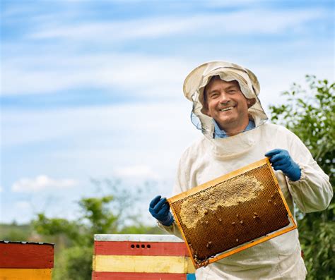 What Does A Beekeeper Do Meet The Modern Beekeeper