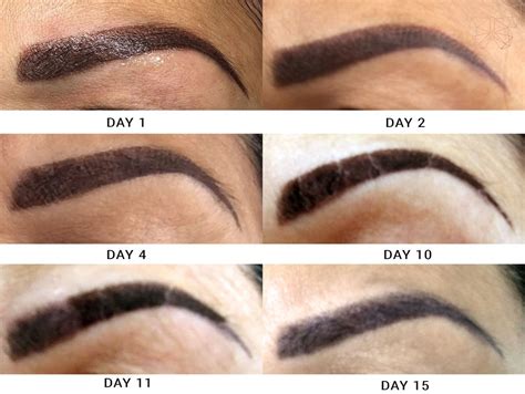 Ombré powder brows healing process | skincare routine. Scabbing Eyebrow Tattoo Healing Process Pictures - Best ...