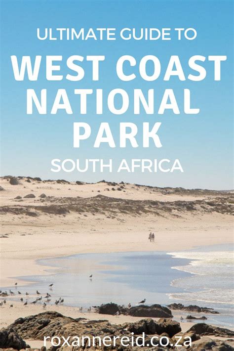 Visiting South Africas West Coast National Park Heres Your Ultimate
