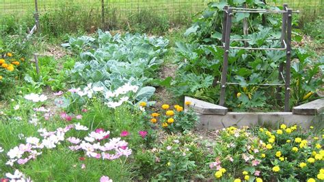 Organic Gardening 101 How To Start A Garden And Keep It Healthy