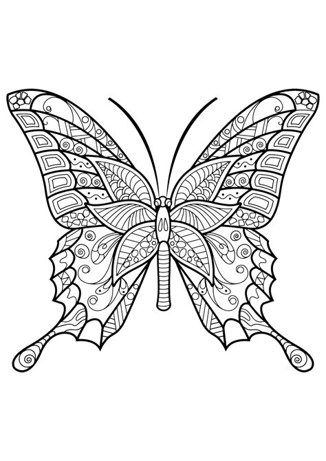 Butterfly in the strawberries coloring page. Butterfly beautiful patterns 6 - Butterflies & insects ...