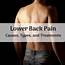 Lower Back Pain Types Causes And Treatments  YouMeMindBody Health